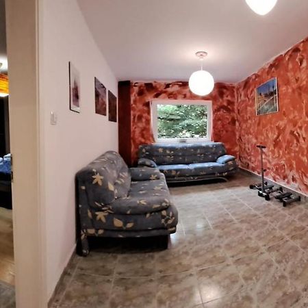 Daria Lorenzo Apartament Timisoara Esterno foto
