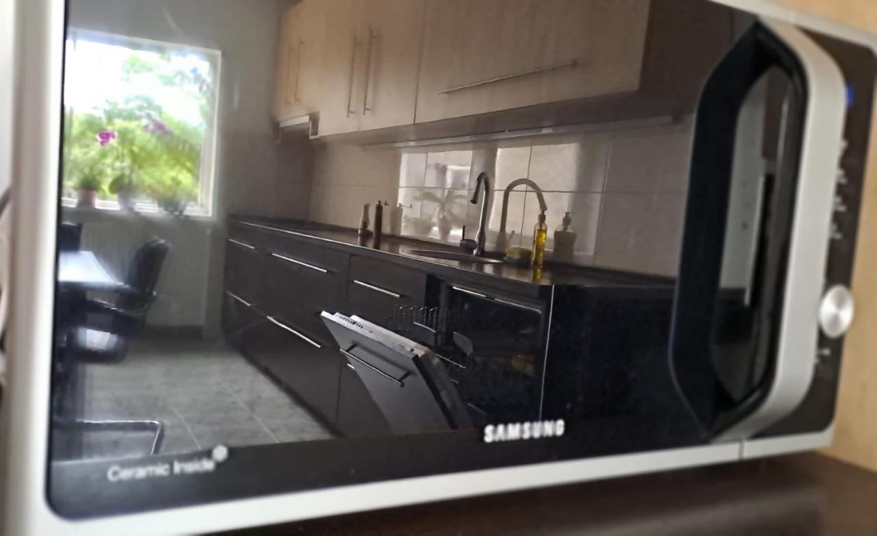 Daria Lorenzo Apartament Timisoara Esterno foto