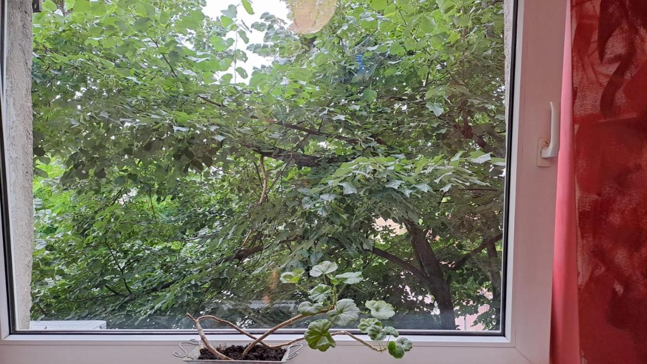 Daria Lorenzo Apartament Timisoara Esterno foto