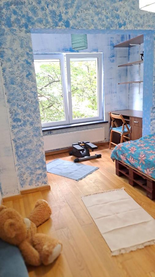 Daria Lorenzo Apartament Timisoara Esterno foto
