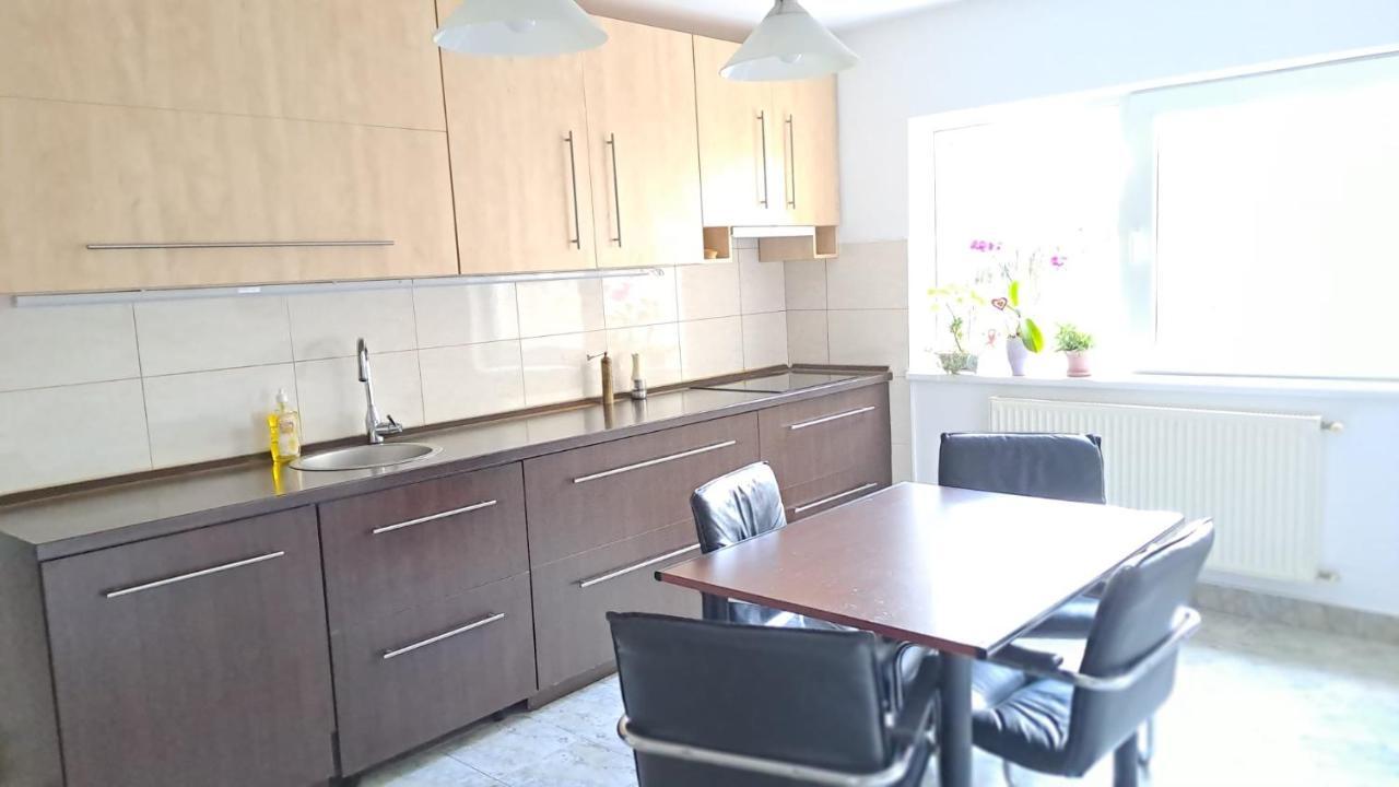 Daria Lorenzo Apartament Timisoara Esterno foto